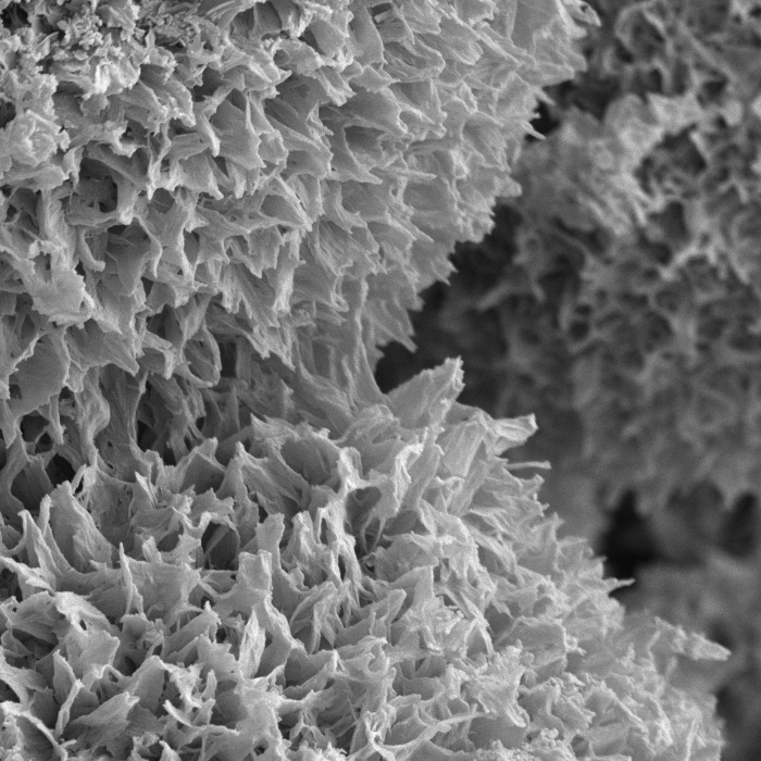 SEM Image of Carbon Nitride on Glass Spheres